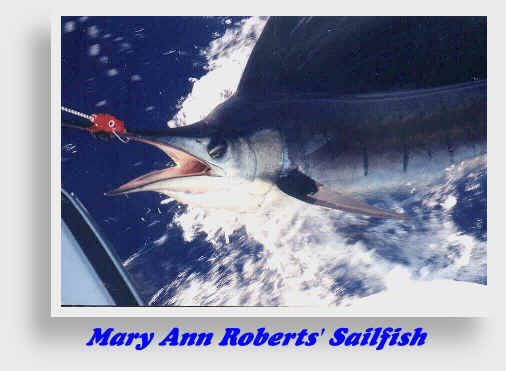 Maryann sail.BMP (563974 bytes)