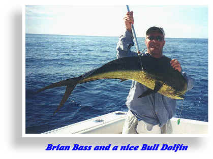 Brian Bass Dolfin.BMP (891186 bytes)